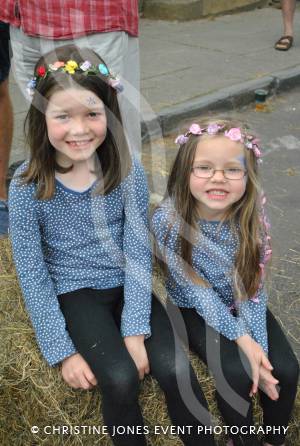 Petherton Folk Fest – June 20, 2015: There was a great day at South Petherton for the annual Petherton Folk Fest. Photo 29