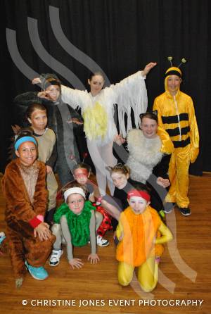Alice in Wonderland with YAPS Part 1 – June 28, 2015: Yeovil Amateur Pantomime Society are presenting Alice in Wonderland at Westfield Academy on July 3-4, 2015. We caught up with them at a dress rehearsal. Photo 12