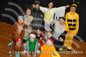Alice in Wonderland with YAPS Part 1 – June 28, 2015: Yeovil Amateur Pantomime Society are presenting Alice in Wonderland at Westfield Academy on July 3-4, 2015. We caught up with them at a dress rehearsal. Photo 13