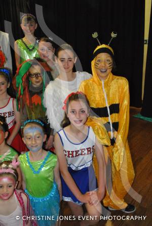 Alice in Wonderland with YAPS Part 2 – June 28, 2015: Yeovil Amateur Pantomime Society are presenting Alice in Wonderland at Westfield Academy on July 3-4, 2015. We caught up with them at a dress rehearsal. Photo 16