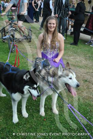 PROMS 2015: Siberian Huskies get Charlotte to Wadham’s Prom!