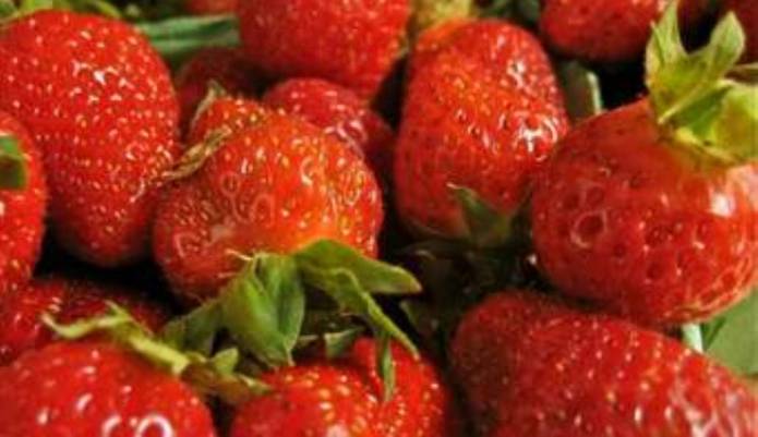 SOUTH SOMERSET NEWS: Strawberry Tea in aid of Breast Cancer Care