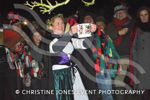 Wassailing with Shepton Mallet Cider Mill - Jan 17, 2013: Wassail Queen Lucy Carter offers some cider to the tree. Photo 12