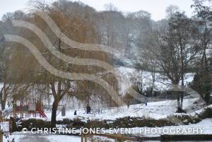 Yeovil Country Park in the snow - Jan 19, 2013: Photo 10