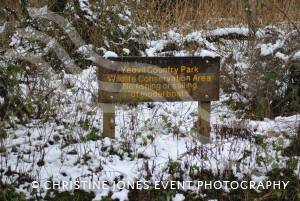 Yeovil Country Park in the snow - Jan 19, 2013: Photo 11