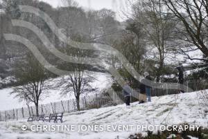 Yeovil Country Park in the snow - Jan 19, 2013: Photo 12
