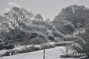 Yeovil Country Park in the snow - Jan 19, 2013: Photo 15