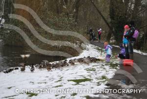 Yeovil Country Park in the snow - Jan 19, 2013: Photo 16