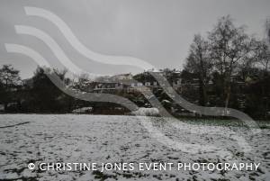 Yeovil Country Park in the snow - Jan 19, 2013: Photo 20
