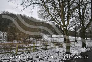Yeovil Country Park in the snow - Jan 19, 2013: Photo 21