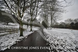 Yeovil Country Park in the snow - Jan 19, 2013: Chilly, but beautiful Ninesprings. Photo 22