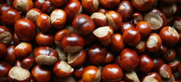 PUB NEWS: Bonkers for conkers at Brewers Arms