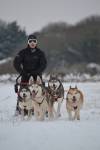 Bad weather is perfect for Matthew and his huskies