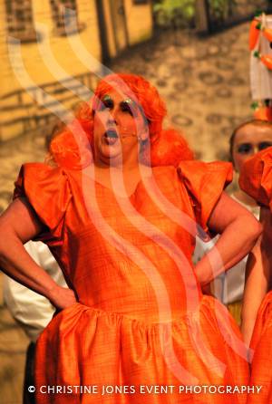 Chard Amateur Theatre Society and Cinderella - Jan 2013: Angie Davies as Ugly Sister, Plain. Photo 5