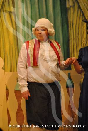 Chard Amateur Theatre Society and Cinderella - Jan 2013: A member of the chorus. Photo 18