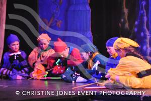 YAPS Panto Part 7 - January 2016: Members of the Yeovil Amateur Pantomime Society produce Snow White and the Seven Dwarfs from January 26-30, 2016, at the Octagon Theatre in Yeovil.  Photo 8