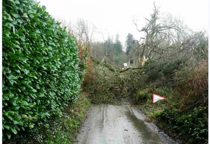 SOMERSET NEWS: Storm Imogen batters the county