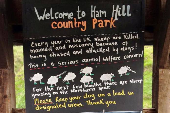 SOUTH SOMERSET NEWS: Sheep killed at Ham Hill Country Park