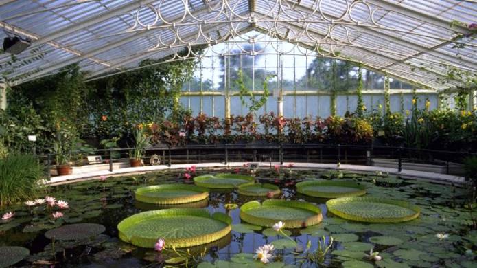 LEISURE: Day trip to the Royal Botanic Gardens at Kew