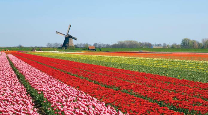 LEISURE: Colourful Holland – the Greatest Flower Show on Earth