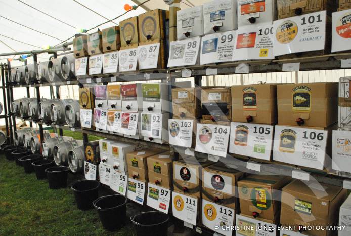 LEISURE: Yeovil Beer Festival is up and running Photo 8