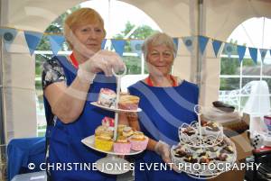Home Farm Fest 2016 Day 2 Pt 1 – June 11, 2016: Photos from the full day of Home Farm Festival at Chilthorne Domer in aid of the Piers Simon Appeal and its School in a Bag initiative. Photo 17