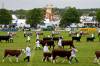 Big year for the Royal Bath & West Show